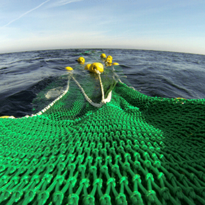 Standard-Forschungsnetz