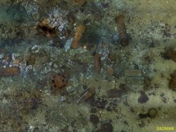 Management-Optionen: Vom möglichen Umgang mit alter Munition