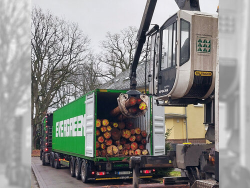 Verladung des behandelten Rundholzes