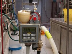 Machine milking of cows that also suckle their calves