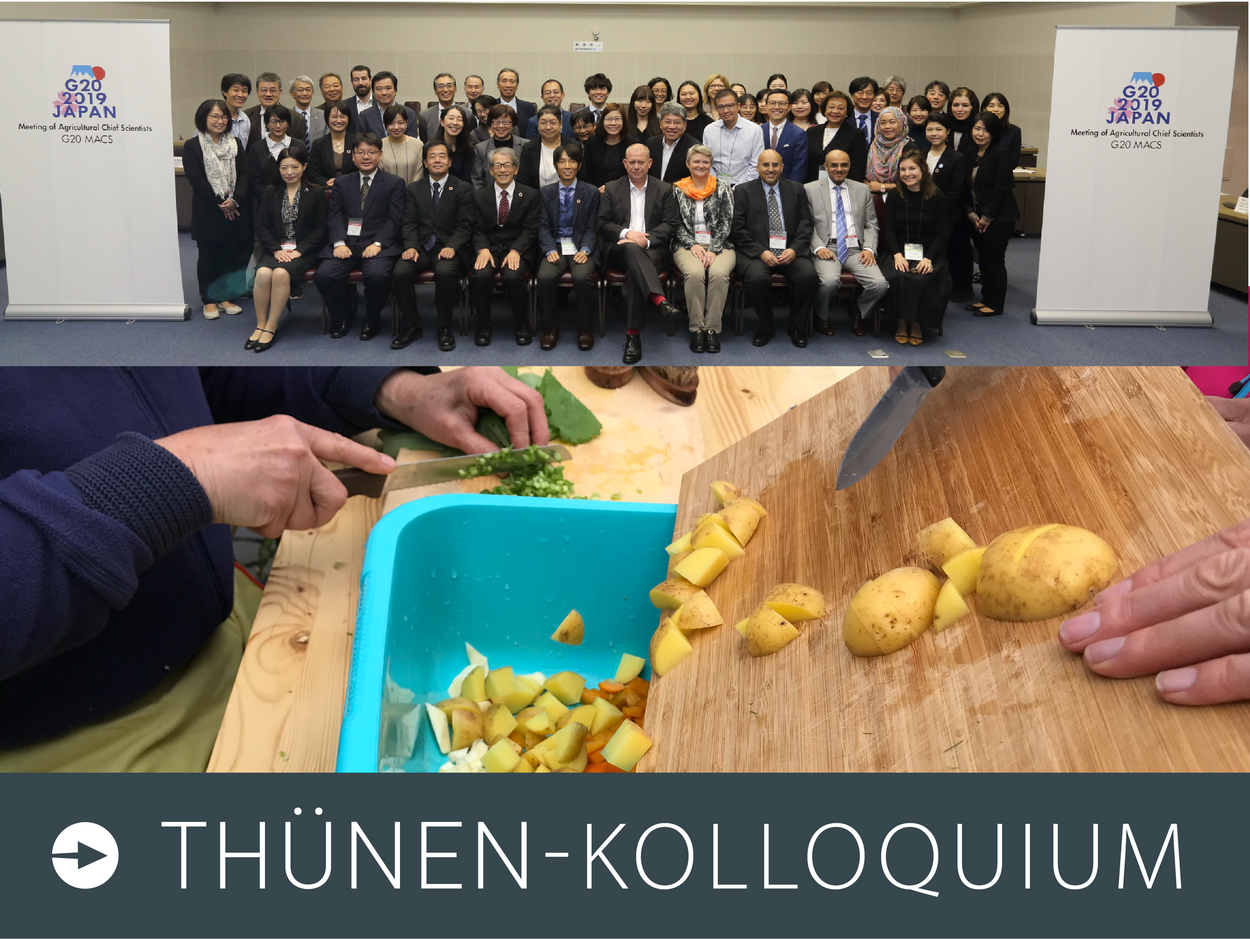 Ein quergeteiltes Bild, oben ein Gruppenbild einer Tagung und unten ein Bild auf dem Gemüse kleingeschnitten wird.