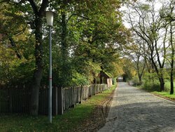 Wohnen in ländlichen Räumen