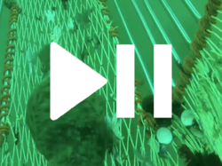 FRESWIND: Ein Netz lernt unterscheiden