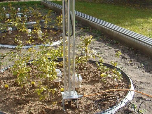 Root camera: The dynamics of fine root growth can be monitored with a camera system that moves vertically in the soil.