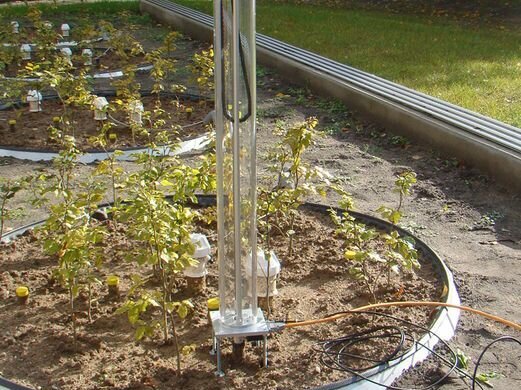 Wurzelkamera: Mit einem senkrecht in der Erde beweglichen Kamerasystem lässt sich die Dynamik des Feinwurzelwachstums verfolgen. Wurzelkamera: Mit einem senkrecht in der Erde beweglichen Kamerasystem lässt sich die Dynamik des Feinwurzelwachstums verfolgen.