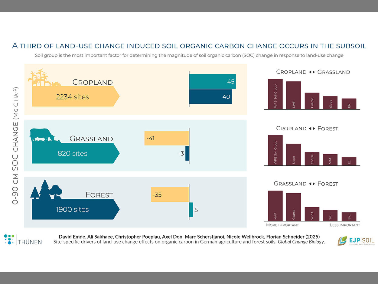 Graphic shows: A third of Land-Use Change induced soil organic carbon change occurs in the subsoil. Soil group is the most important factor for determining the magnitude of soil organic carbon (SOC) change in response to land-use change.