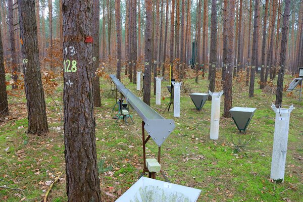 Messfeld mit verschiedenen Messeinrichtingen zur Erfassung des Stammbaflusses, des Streufalls und des Niederschlags.
