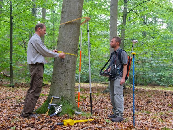 Zwei Personen bei der Vermessung und Dokumentation eines Baumes mit vielen benötigten Gerätschaften