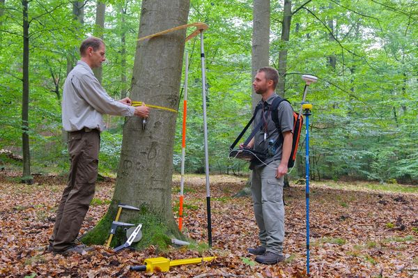 Zwei Personen bei der Vermessung und Dokumentation eines Baumes mit vielen benötigten Gerätschaften