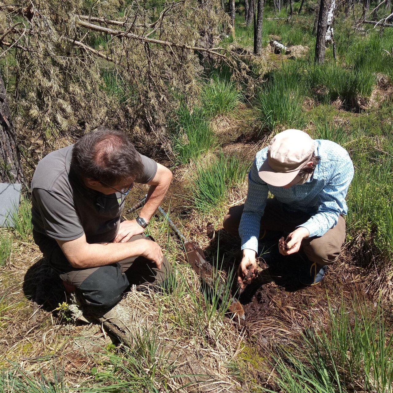 Two people examine the top 50 cm of the soil of a moor using a peat core probe. Moor near Hermsdorf in Thuringia.