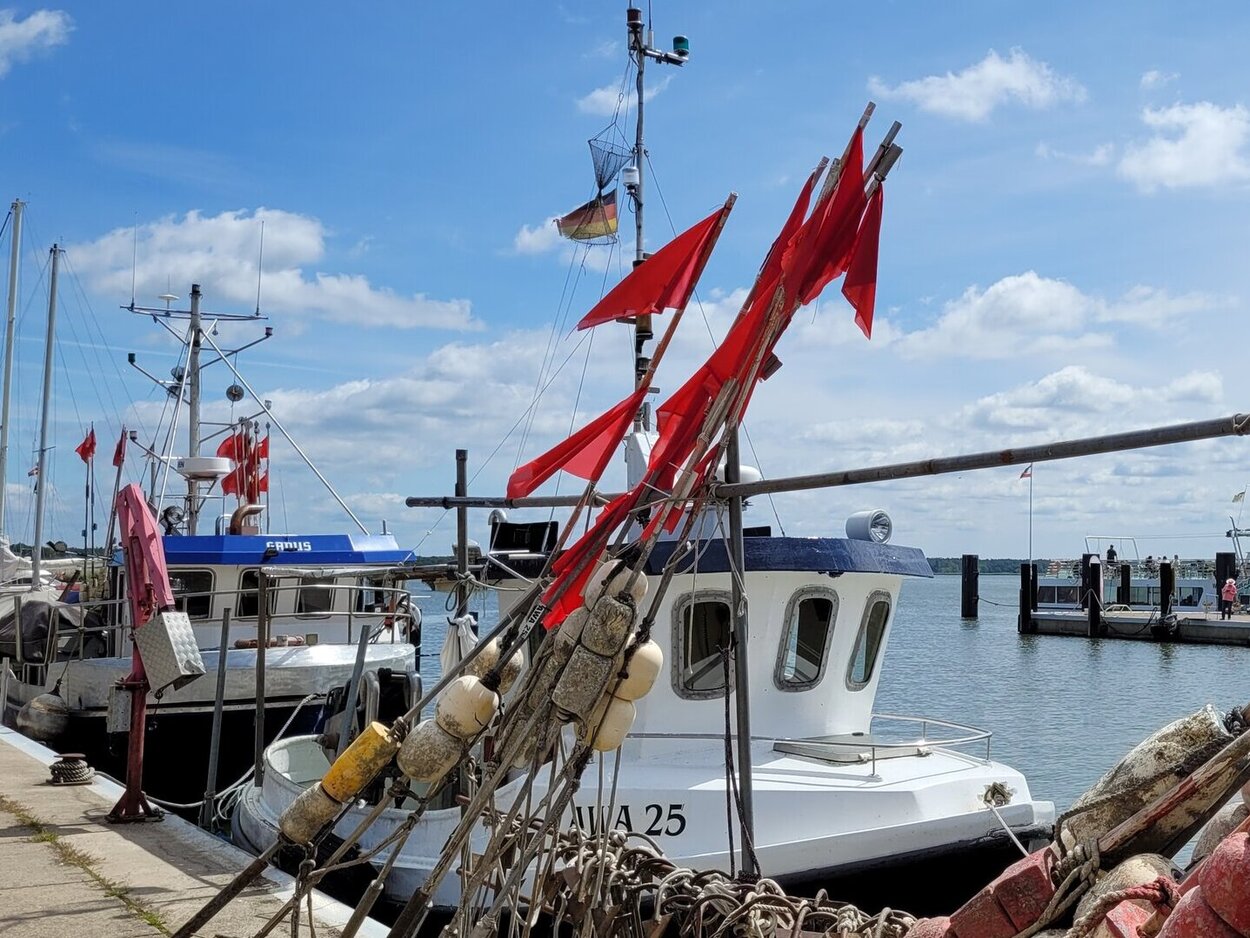 Kleine Küstenfischer-Boote im Hafen. Kleine Fischerboote mit roten Fahnen liegen im Hafen, Netze und Reusen im Vordergrund.