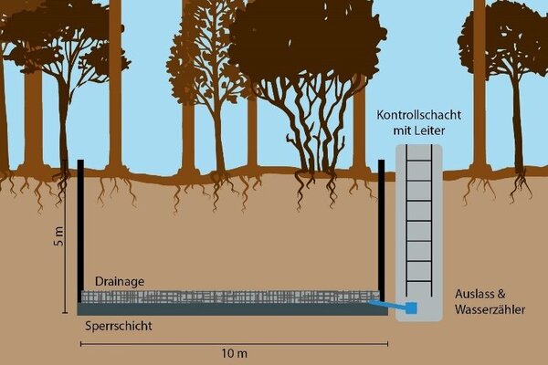 Skizze eine Großlysimeters auf der Intensivmonitoringfläche Britz