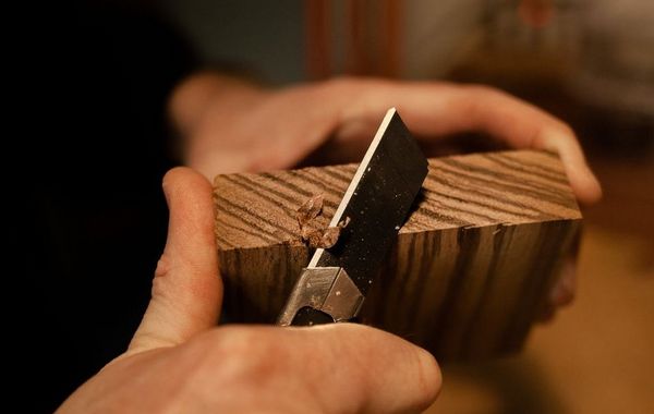 Holzbestimmung im Thünen-Kompetenzzentrum Holzherkünfte: Mit einem Messer wird ein Stück Holz frisch angeschnitten, um die Fasern und Gefäße genauer zu untersuchen.