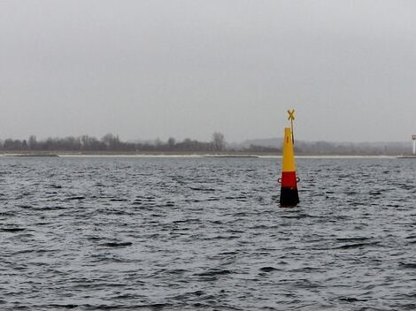 Blick auf das Untersuchungsgebiet Kolberger Heide in der Kieler Bucht.