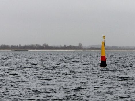 Blick auf das Untersuchungsgebiet Kolberger Heide in der Kieler Bucht.