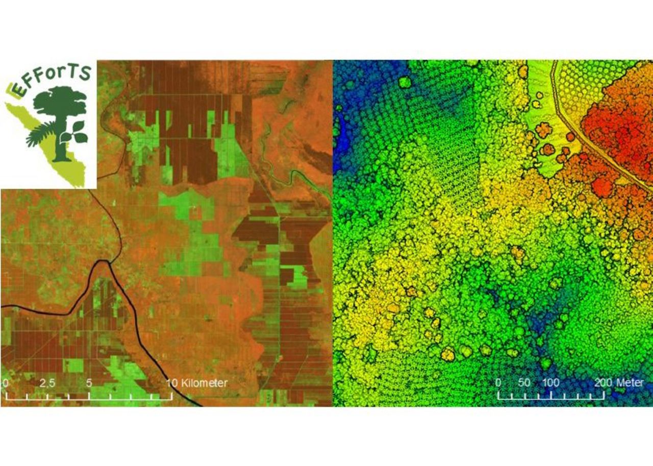 View of the landscape in the province of Jambi, Indonesia (left: satellite image taken from Sentinel-2 in March 2020; right: airborne laserscanner campaign in February 2020)