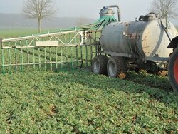 Emissionen aus der Tierhaltung