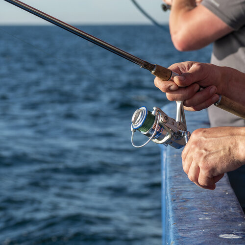 Foto von Händen, die Angeln halten, an der Reling eines Schiffes auf dem Meer