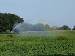 Zukünftiger Bewässerungsbedarf in Nordrhein-Westfalen