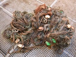 Typischer Meeresmüll aus der Fischerei: alte Netzteile. Litter in German marine areas