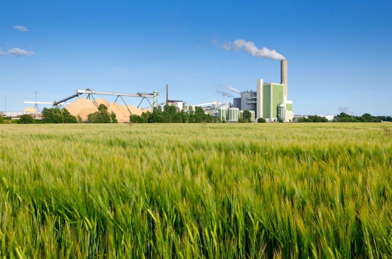 Factory in agrarian landscape