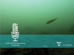 Folge 22: Patient Ostsee