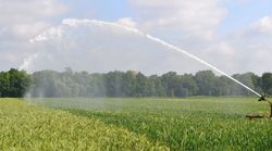 LAWAMAD – Agricultural Water Management in Germany