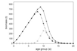 Weniger ist manchmal mehr