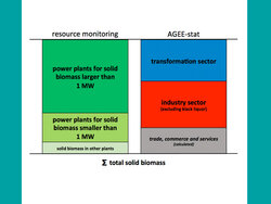 Solid biomass in the sector TCS