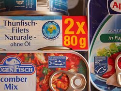 Sustainability certification of fisheries products: Are all eco-labels on the same quality level?