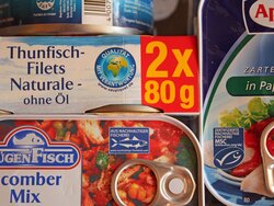 Nachhaltigkeitszertifizierung von Fischereiprodukten: Sind alle Umweltsiegel gleich gut?