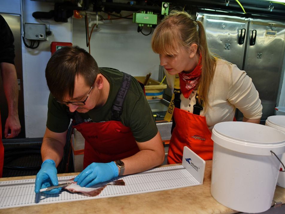 Die Praktikantin schaut dem Wissenschaftler beim Fische markieren über die Schulter