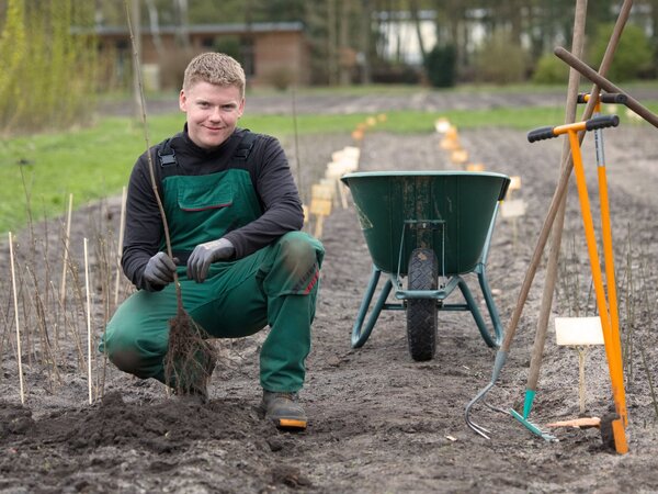 Auszubildender für den Beruf Baumschulgärtner*in