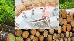 FGR Update (Forstwirtschaftliche Gesamtrechnung)