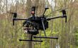 UAVs Forest Monitoring