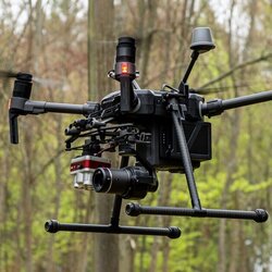UAVs Forest Monitoring