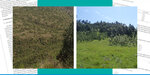 landscape photos - left: Passive approach | Exclosures.; right: Active | Mixed species plantations