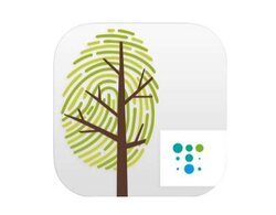 Databases wood identification