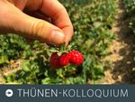 Foto zum Thünen-Kolloquium: Vor einem Erdbeerfeld hält eine Hand eine missgebildete Erdbeere ins Bild.