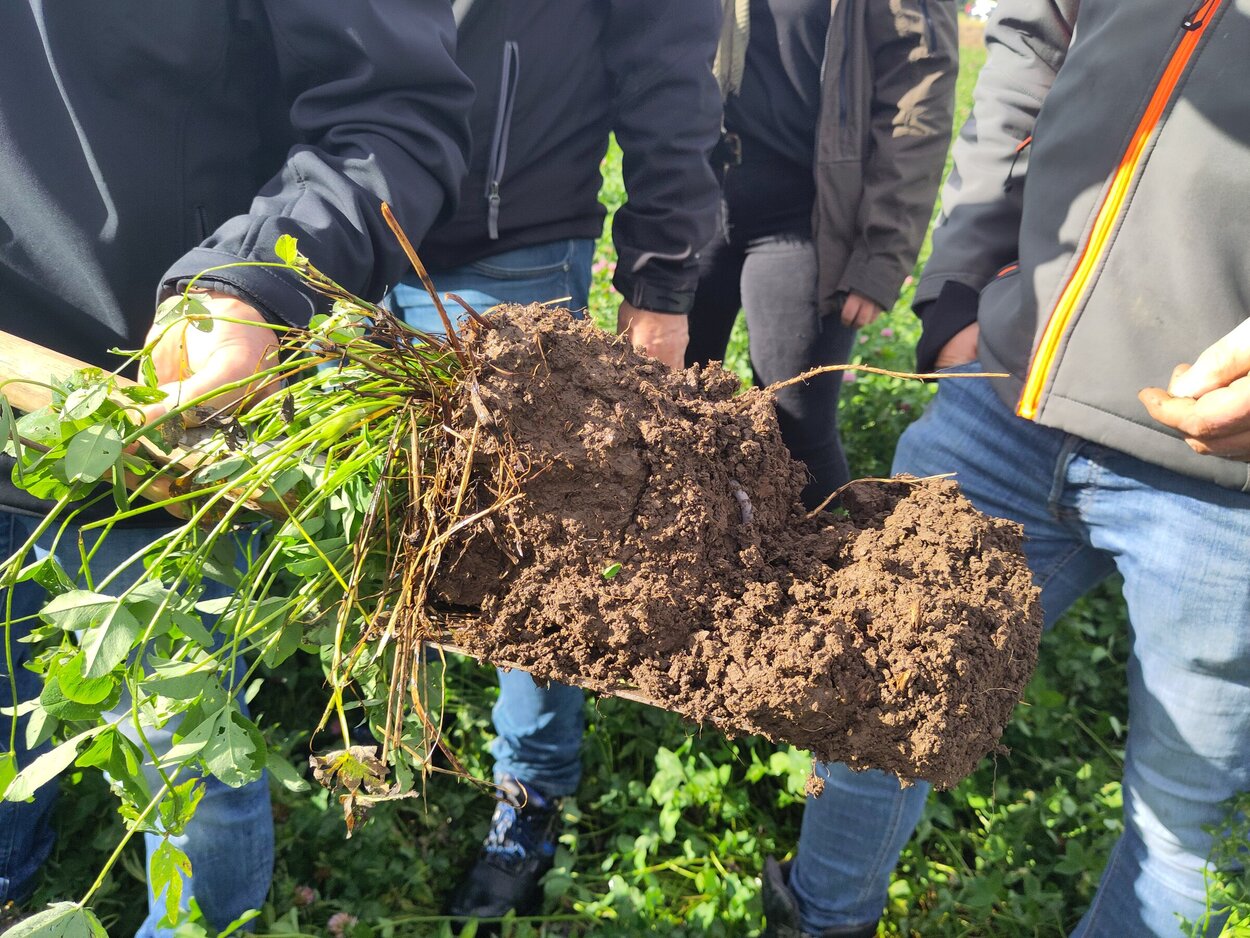 Einige Menschen stehen um eine Schaufelblatt mit abgestochenem Boden. Am Boden dran befindet sich noch viel Grün von der Wiese.
