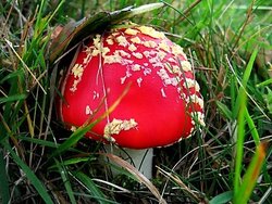 Modellierung von Strukturparametern