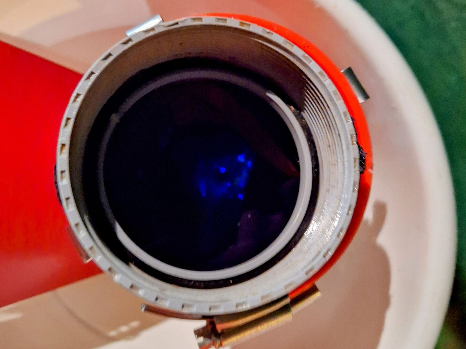 Leuchtgarnelen sorgen im Probenbecher für ein blaues Leuchten in der Dunkelheit.