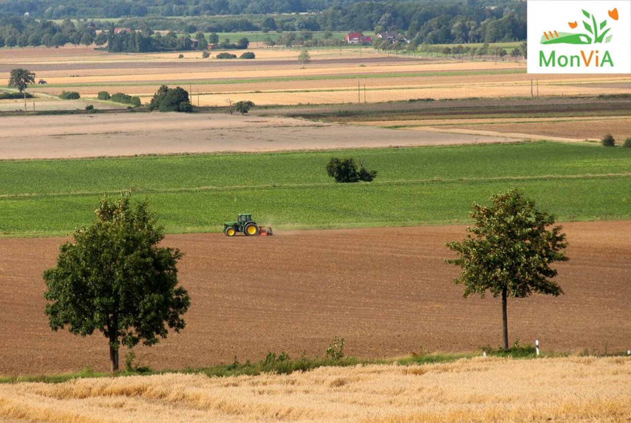 Felderlandschaft mit Trecker und Bäumen