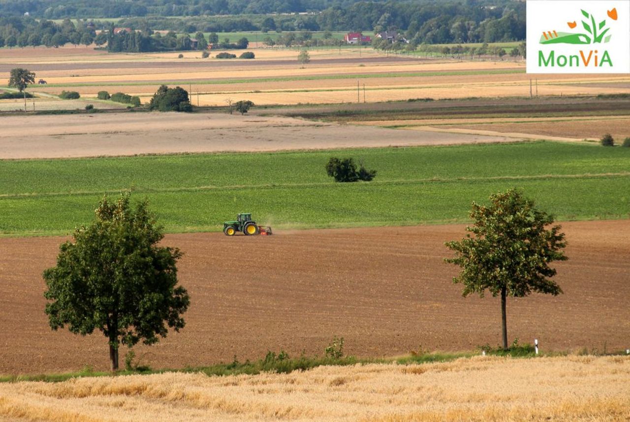 Field landscape with tractor and trees