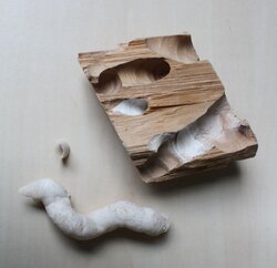 Protection of wood in contact with sea water