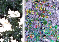 Automatische Bestimmung von Nutzungsintensitäten im Grünland mittels Satellitenbildzeitreihen