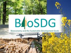 The Bioeconomy and the Sustainable Development Goals of the United Nations (BioSDG)