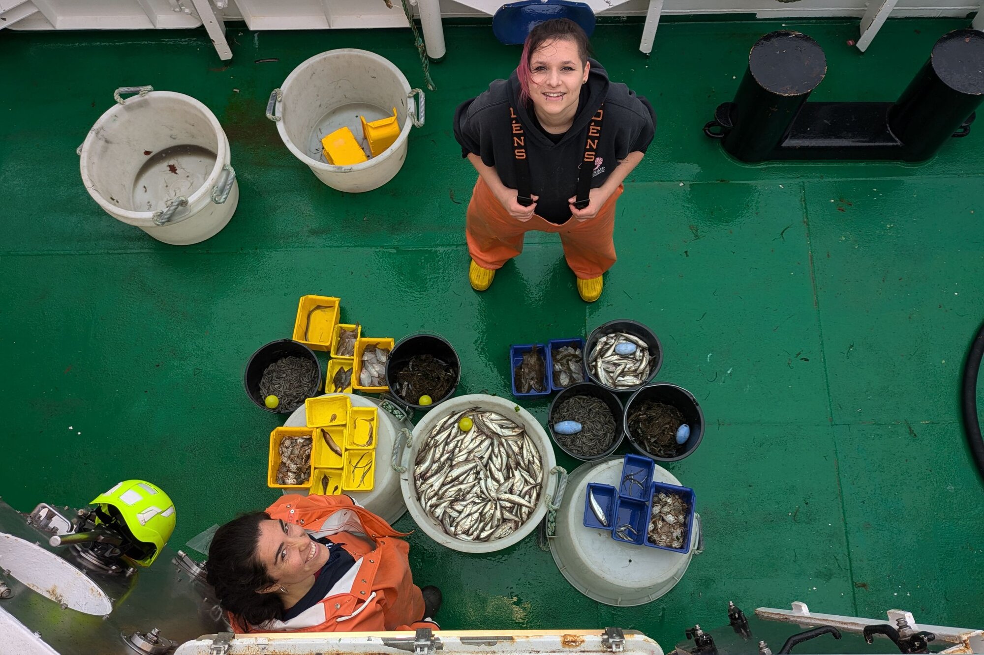 Ein Fang des 16 mm KingGrid in blau und des Siebnetzes in gelb komplett aussortiert. Auf dem Boden stehen viele Behältnisse in denen der aussortierte Fang liegt.