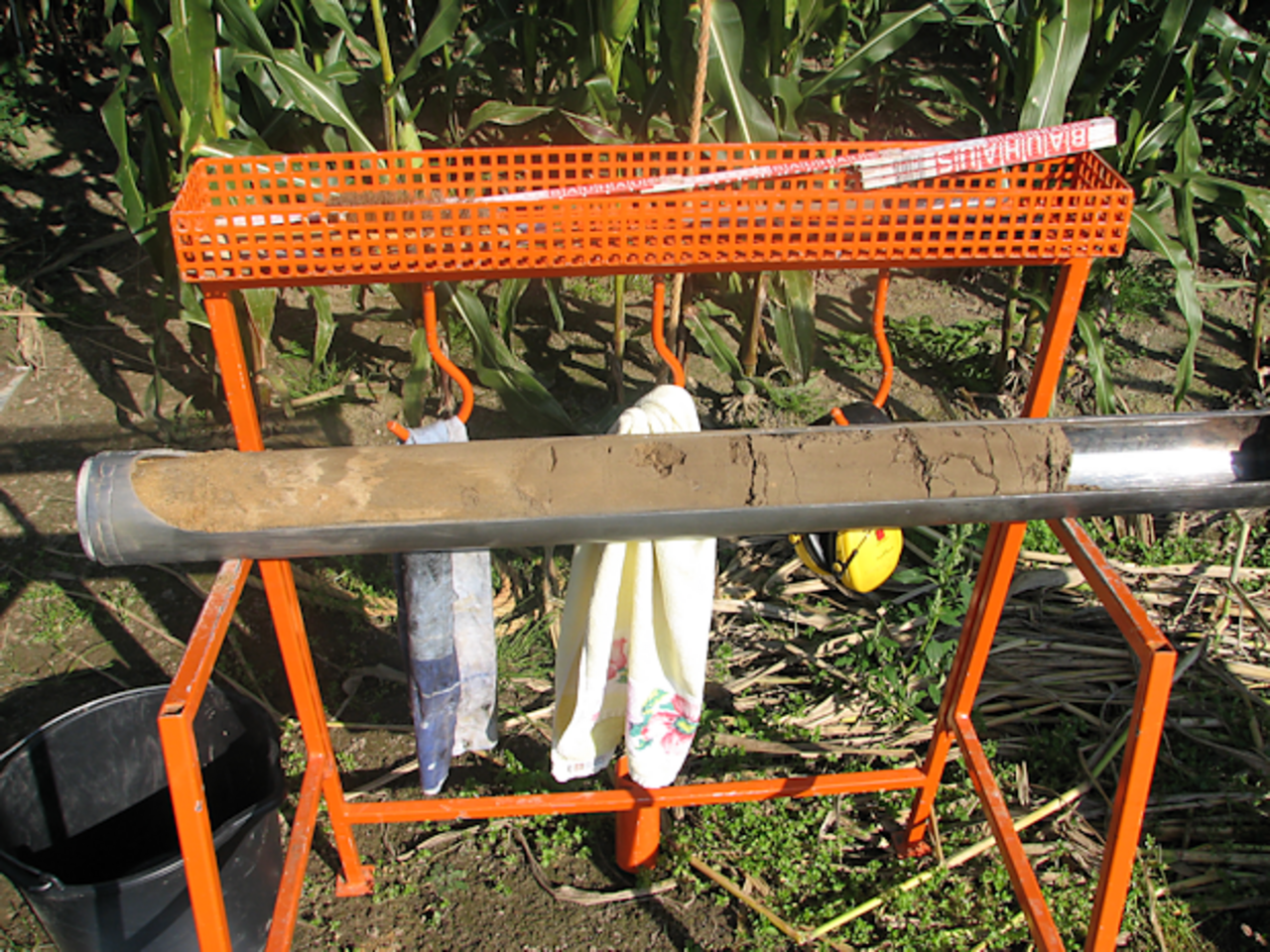 Entnahme einer zylindrischen Bodenprobe zur Untersuchung des Wurzelwachstums