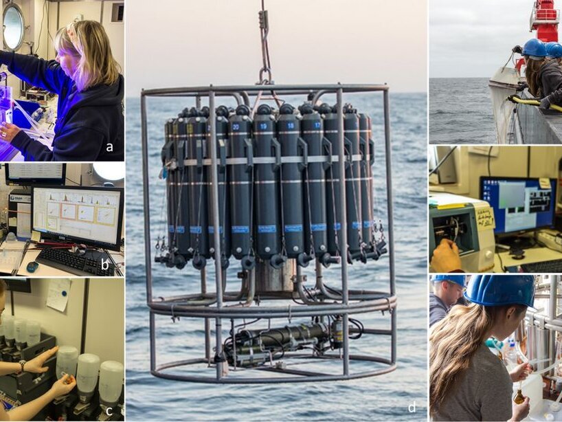 Various extraction of specimens. Various extraction of specimens.